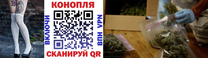 ссылка на мегу вход  даркнет сайт  Королёв  Конопля тримм 